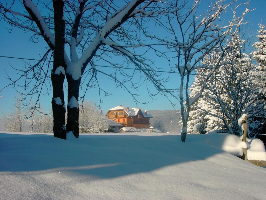 Hotel Da Barba B&B Asiago Exterior foto